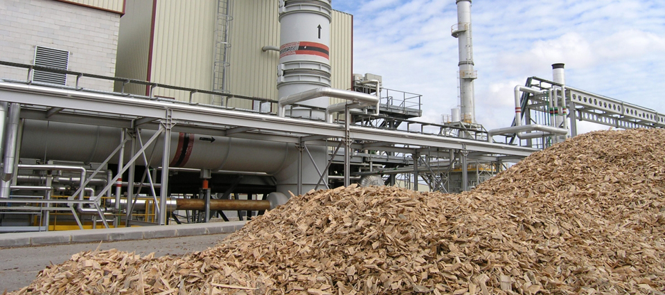 iprocel-Santa Rosa Biomass Plant